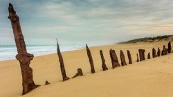 Malerischer Blick auf Schiffswrack am goldenen Strand, Victoria, Australien — Stockfoto