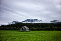Scenic view of old barn in field, Hemsedal, Norway — Stock Photo