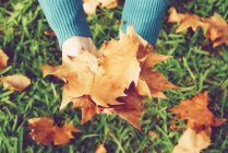 Imagem cortada de mãos segurando folhas de outono sobre grama verde — Fotografia de Stock