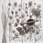 Té, bayas de invierno, hierba, semillas y productos botánicos - foto de stock