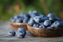 Closeup view of bowls with blueberries on wooden table in garden, blurred background — Stock Photo