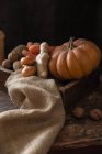 Lebensmittel stilvolle Komposition aus Kürbis und Ingwer in Holzkiste vor dunklem Hintergrund — Stockfoto