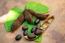 Imagem de close-up de sementes de feijão de veludo — Fotografia de Stock