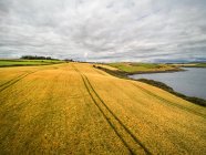 Vue panoramique sur le littoral et la mer, Sandycove Island, Cork, Munster, Irlande — Photo de stock