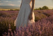 Обрезанное изображение женщины, стоящей на лавандовом поле — стоковое фото