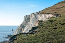 Великобритания, Англия, Восточный Сассекс, Beachy Head маяк с семью сестрами скалы на переднем плане — стоковое фото