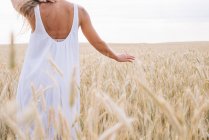 Задний вид чувственной женщины, идущей по пшеничному полю — стоковое фото