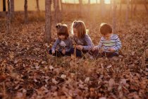 Trois enfants assis sur des feuilles tombées à la forêt — Photo de stock
