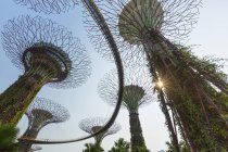 Vista panoramica sui giardini vicino alla baia, Singapore — Foto stock