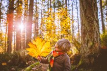 Junge hält großes gelbes Blatt im Wald im Gegenlicht — Stockfoto