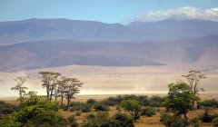 Cratera de Ngorongoro Reserva de Vida Selvagem, Tanzânia — Fotografia de Stock