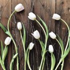Белые тюльпаны и веточки на темной деревянной поверхности — стоковое фото