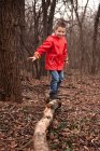 Мальчик балансирует на стволе дерева в лесу — стоковое фото