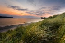 Scenic view of long grass at Oldshoremore Bay, Durness, Scotland — Stock Photo
