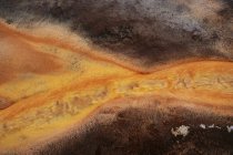 Closeup view of bacterial mat at Grand Prismatic Spring, Yellowstone National Park, Wyoming, America, USA — Stock Photo