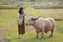 Hermosa joven de pie junto a un búfalo en un campo, Tailandia - foto de stock
