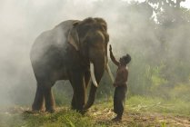 Vue latérale de l'homme caressant bel éléphant à la nature sauvage — Photo de stock
