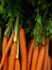 Bund frische Bio-Karotten mit Stielen — Stockfoto