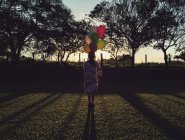 Silhouette di una ragazza che tiene mazzo di palloncini — Foto stock