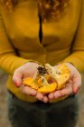 Abgeschnittenes Bild einer Frau mit frisch gepflückten Pilzen — Stockfoto