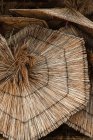 Closeup view of straw parasols heap — Stock Photo