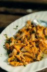 Primo piano di gustosa insalata di funghi fritti con erbe — Foto stock
