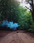 Hombre caminando en el bosque con bomba de humo - foto de stock