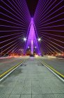 Vista panorámica del puente de Sri Wawasan, Putrajaya, Malasia - foto de stock