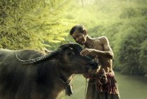 Человек, гладящий буйвола, Сакон Нахон, Таиланд — стоковое фото