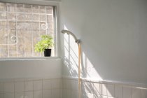Dusche und Topfpflanze im Badezimmer — Stockfoto