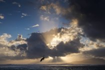 Silhueta de um kitesurfer ar médio, Praia de Los Lances, Tarifa, Andaluzia, Espanha — Fotografia de Stock