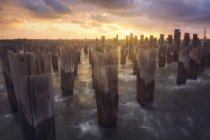 Waves breaking against wooden pier pilings at Melbourne, Victoria, Australia — Stock Photo