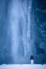 Вид сзади женщины, стоящей перед водопадом Скогафосс, Исландия — стоковое фото