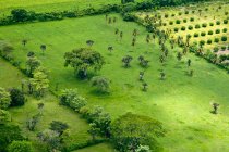 Vista aérea de campos en Chiapas, México - foto de stock