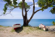 Bateaux de pêche sous arbre sur plage de sable, paysage marin avec horizon au premier plan — Photo de stock