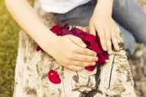 Cropped image of boy collecting rose petals — Stock Photo