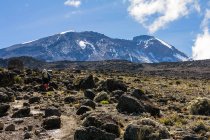 Trekking femme au-dessus de Shira PLateau vers le Mont Kilimandjaro, Tanzanie — Photo de stock