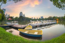 Vista panorâmica dos barcos de cisne no Lumphini Park, Bangkok, Tailândia — Fotografia de Stock