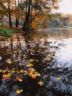 Malerischer Blick auf Herbstlaub im See — Stockfoto