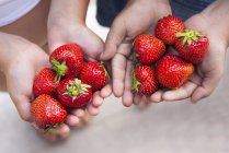 Hands of children holding fresh strawberries — Stock Photo