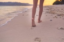 Обрізане зображення дівочих ніг, що ходять на пляжі, вид ззаду — стокове фото