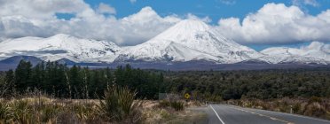 Знак Киви на дороге к горе Нгаурухо, Новая Зеландия — стоковое фото