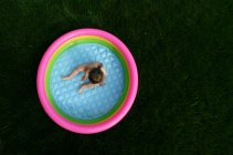 Overhead view of a baby girl sitting in a multicolored inflatable padding pool — Stock Photo