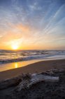 Treibholz am Strand bei Sonnenuntergang, pescia romana, lazio, italien — Stockfoto