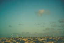 Мальовничим видом вітрових турбін в пустелі, Paracuru, Бразилія — стокове фото