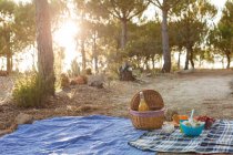Корзина для пикника с едой и напитками на одеяле для пикника в саду — стоковое фото