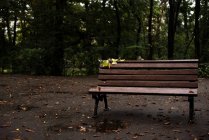 Empty bench in park on rainy day — Stock Photo