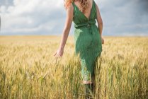 Вид сзади на женщину в зеленом платье, стоящую на пшеничном поле — стоковое фото