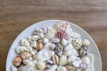Seashells and corals on white plate over wooden table — Stock Photo