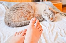 Gros plan des pieds nus féminins et du chat dormant sur le lit — Photo de stock